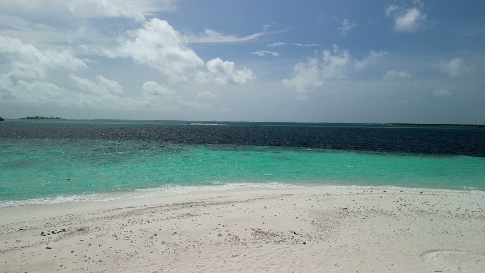 Sandbank Excursion