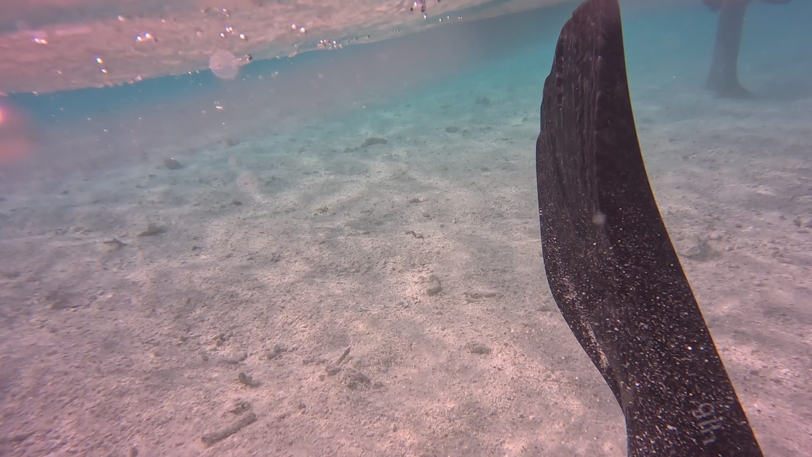 Snorkeling