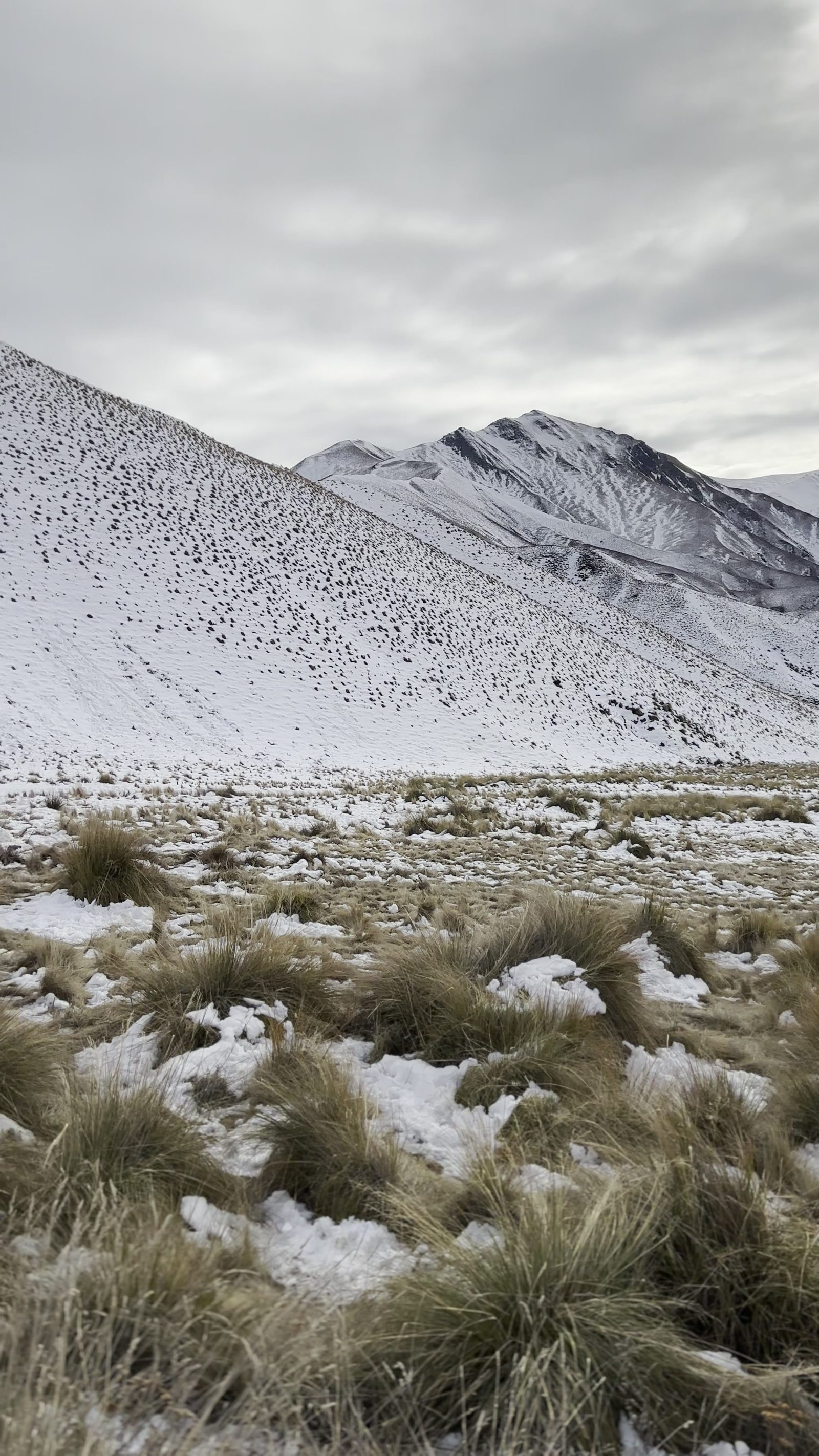 Lindis Pass