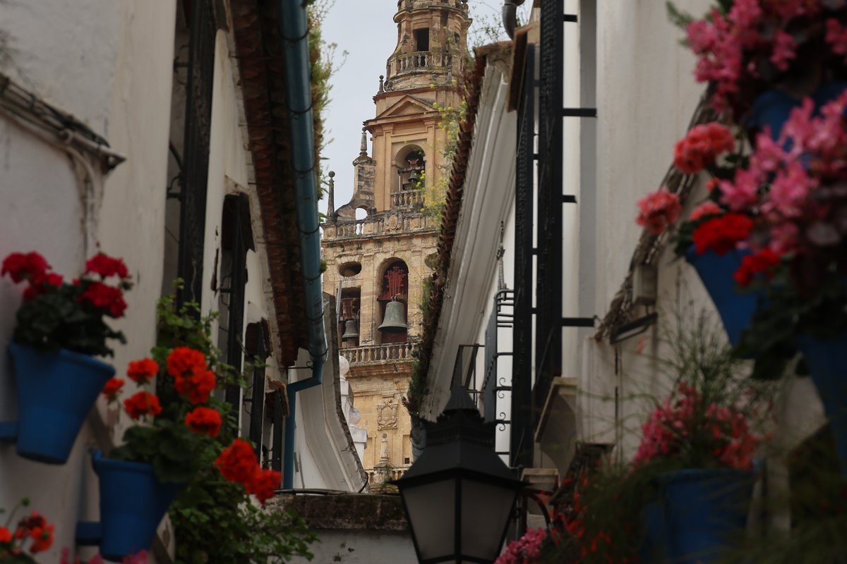 Calleja de las Flores
